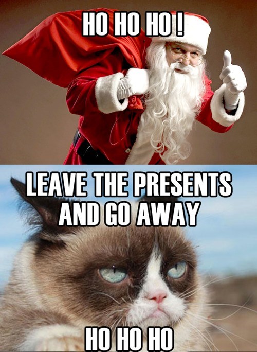 Ho Ho Ho Leave The Presents And Go Away Ho Ho Ho Funny Grumpy Cat Meme Photo