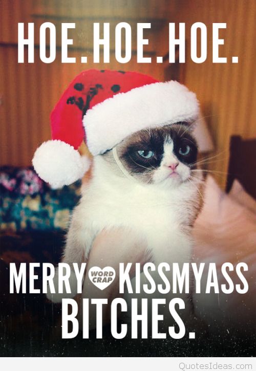 Hoe. Hoe. Hoe. Merry Kissmyass Bitches Funny Grumpy Cat Meme Image