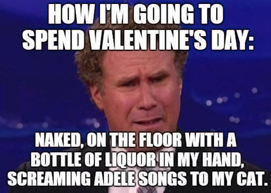How I Am Going To Spend Valentine's Day Funny Will Ferrell Meme Picture