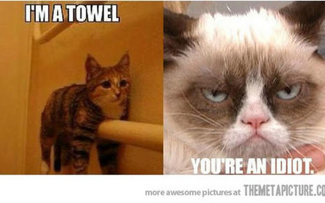 I Am A Towel You Are An Idiot Funny Grumpy Cat Meme Picture