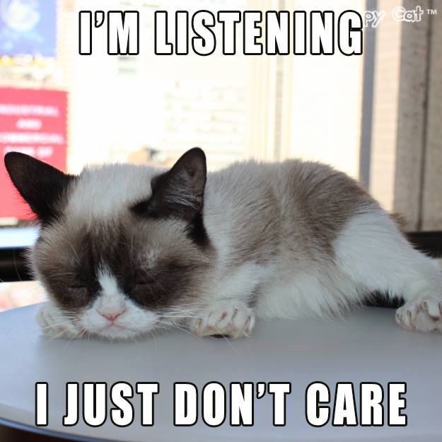 I Am Listening I Just Don't Care Funny Grumpy Cat Image