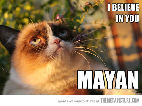 I Believe In You Mayan Funny Grumpy Cat Image