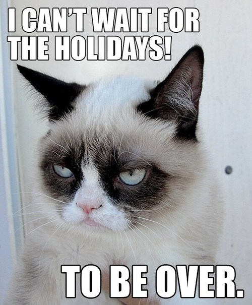 I Can't Wait For The Holidays To Be Over Funny Grumpy Cat Meme Image