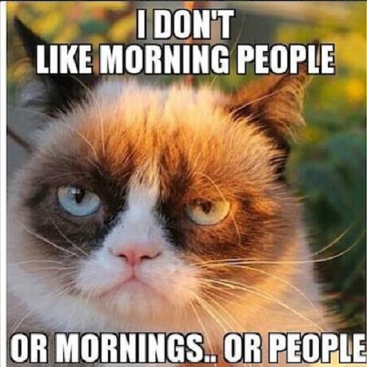 I Don't Like Morning People Said By Grumpy Cat Funny Image