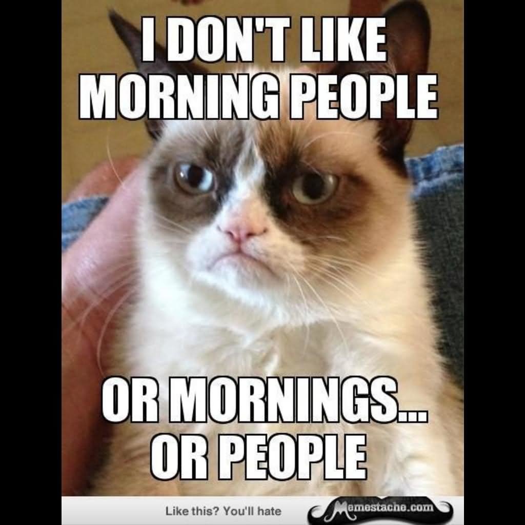 I Don't Morning People Or Mornings Or People Funny Grumpy Cat Meme Image