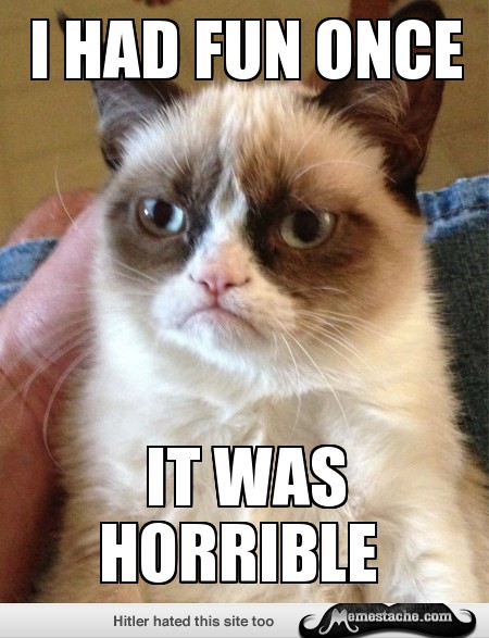 I Had Fun Once It Was Horrible Funny Grumpy Cat Meme Picture