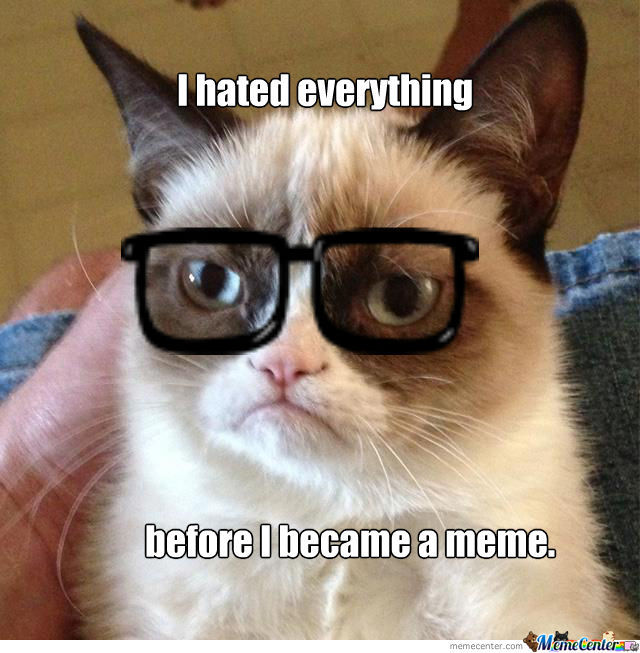 I Hated Everything Before I Became A Meme Funny Grumpy Cat Image