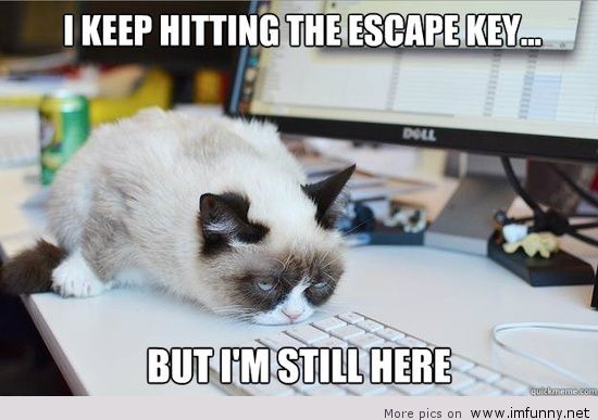 I Keep Hitting The Escape Key But I Am Still Here Funny Grumpy Cat Image