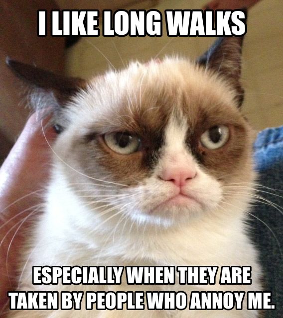 I Like Long Walks Funny Grumpy Cat Picture