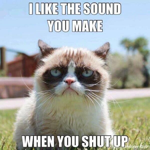 I Like The Sound You Make When You Shut Up Funny Grumpy Cat Image