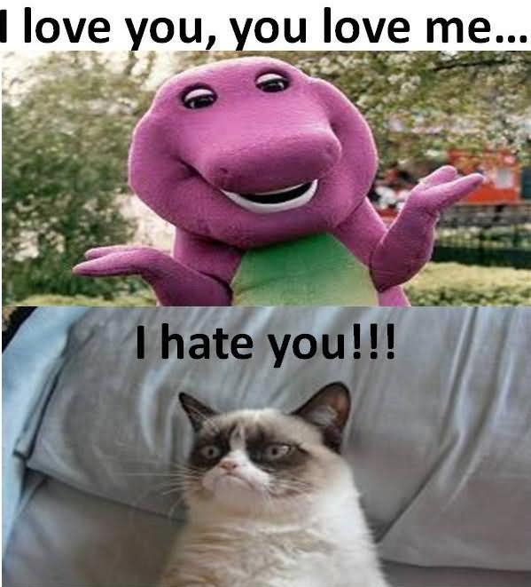 I Love You, You Love I Hate You Funny Grumpy Cat Picture