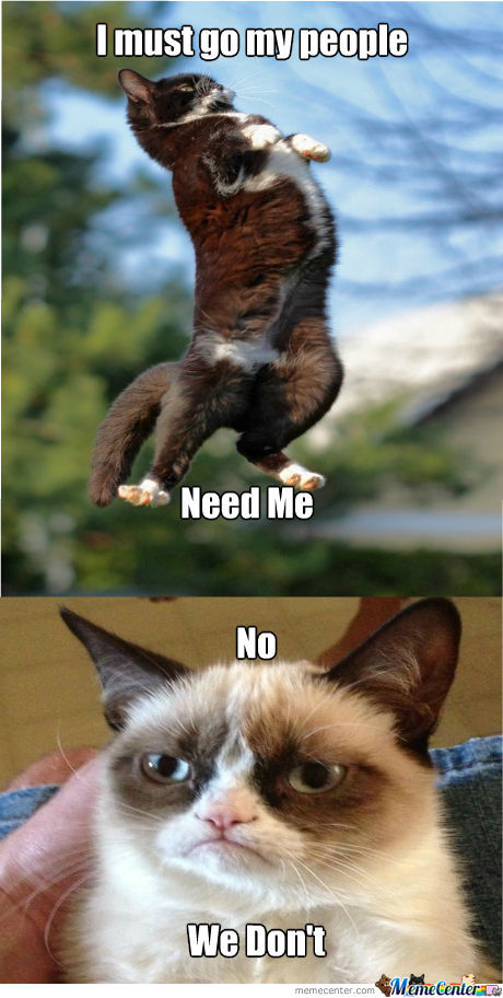I Must Go My People Need Me No We Don't Funny Grumpy Cat Picture