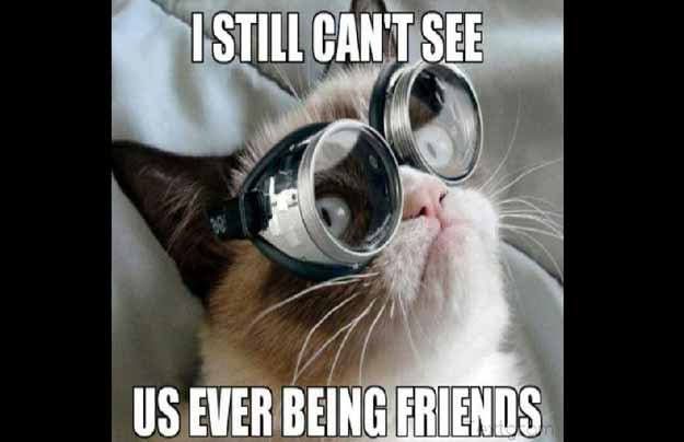 I Still Can't See Us Ever Being Friends Funny Grumpy Cat Meme Image