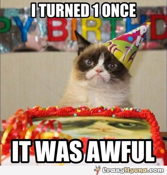 I Turned 1 Once it Was Awful Funny Grumpy Cat Meme Image