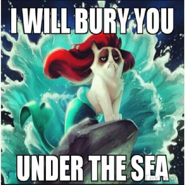 I Will Bury You Under The Sea Funny Grumpy Cat Meme Image