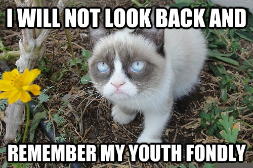 I Will Not Look Back And Remember My Youth Fondly Funny Grumpy Cat Meme Image