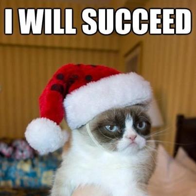 I Will Succeed Funny Grumpy Cat Meme Picture