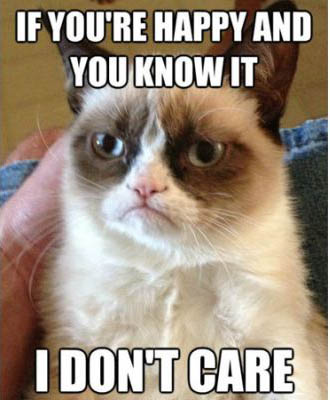 If You Are Happy And You Know It I Don't Care Funny Grumpy Cat Meme Image