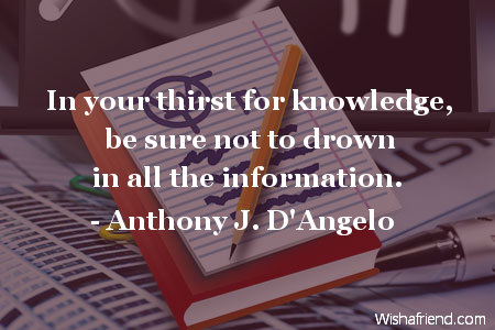 In your thirst for knowledge be sure not to drown in all the information  - J. D'Angelo