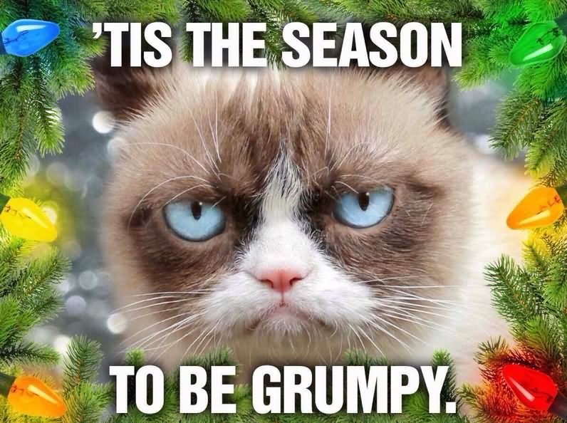 Its The Season To Be Grumpy Funny Picture