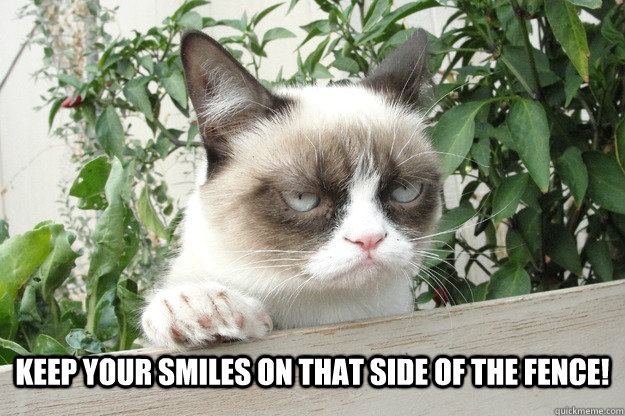 Keep Your Smiles On That Side Of The Fence Funny Grumpy Cat Picture