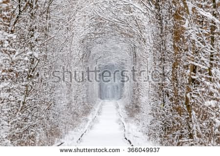 Klevan's Tunnel Of Love After Heavy Snowfall In Winters