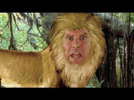 Lion With Will Ferrell Face Funny Photoshop Picture