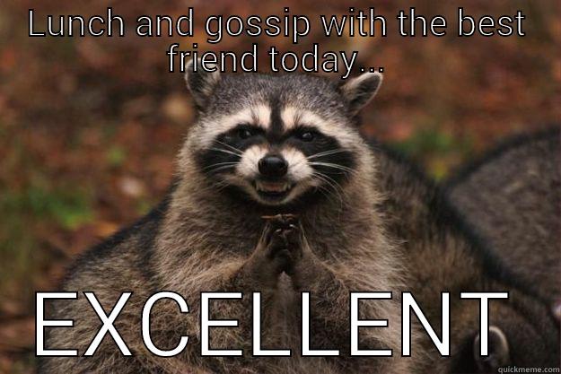 Lunch And Gossip With The Best Friend Today Excellent Funny Best Friends Meme Picture