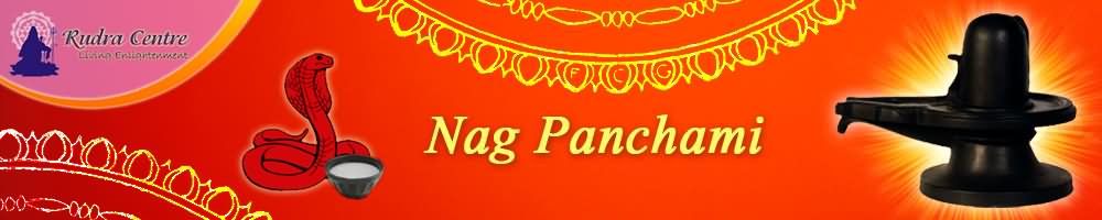 Nag Panchami Header Image