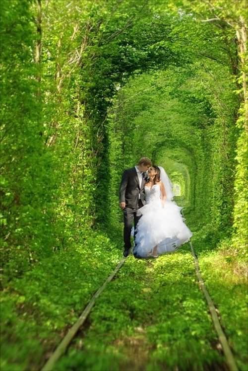 Newly Married Couple Posing For Photoshoot At The Tunnel Of Love