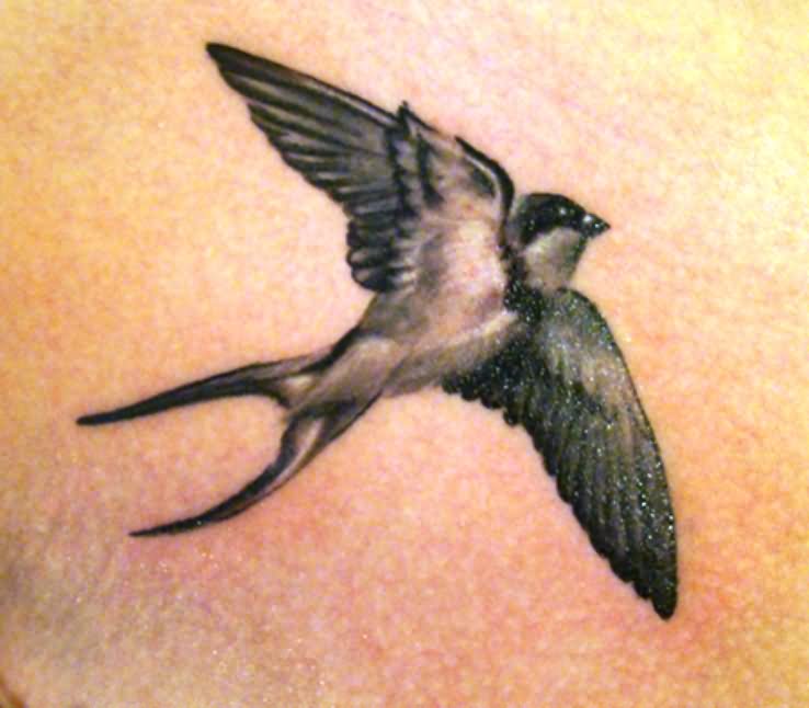 Nice Flying Sparrow Tattoo