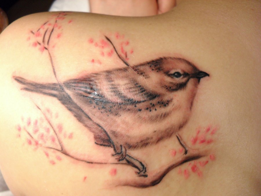 Nice Sparrow Tattoo On Left Back Shoulder