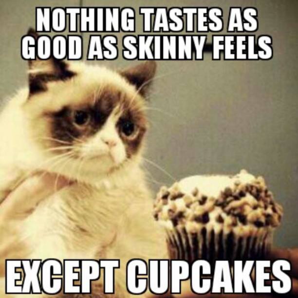 Nothing Tastes As Good As Skinny Feels Except Cupcakes Funny Grumpy Cat Image