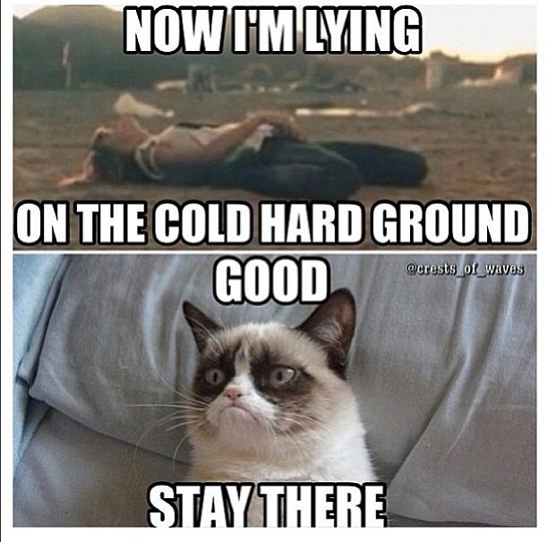 Now I Am Laying On the cold Hard Ground Good Stay There Funny Grumpy Cat Image