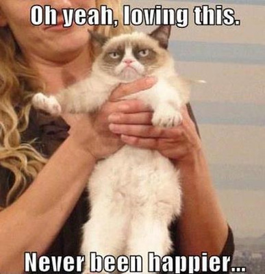 Oh Yeah Loving This Never Been Happier Funny Grumpy Cat Meme Image