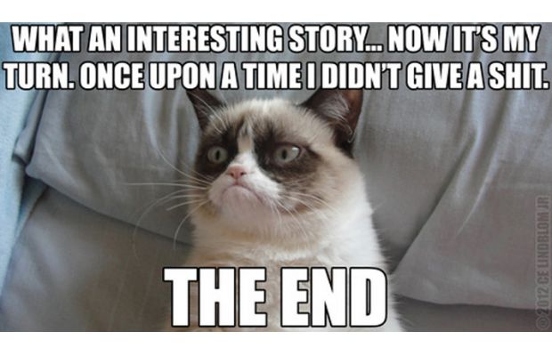 Once Upon A Time I Didn't Give A Shit Funny Grumpy Cat Picture