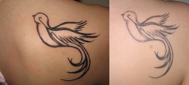 Outline Sparrow Tattoo On Right Back Shoulder