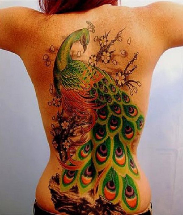 Peacock Tattoo On Girl Full Back