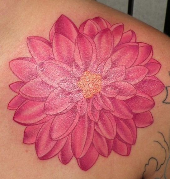 Pink Ink Dahlia Flowers Tattoo On Right Back Shoulder