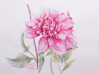 Pink Watercolor Dahlia Flower Tattoo Design