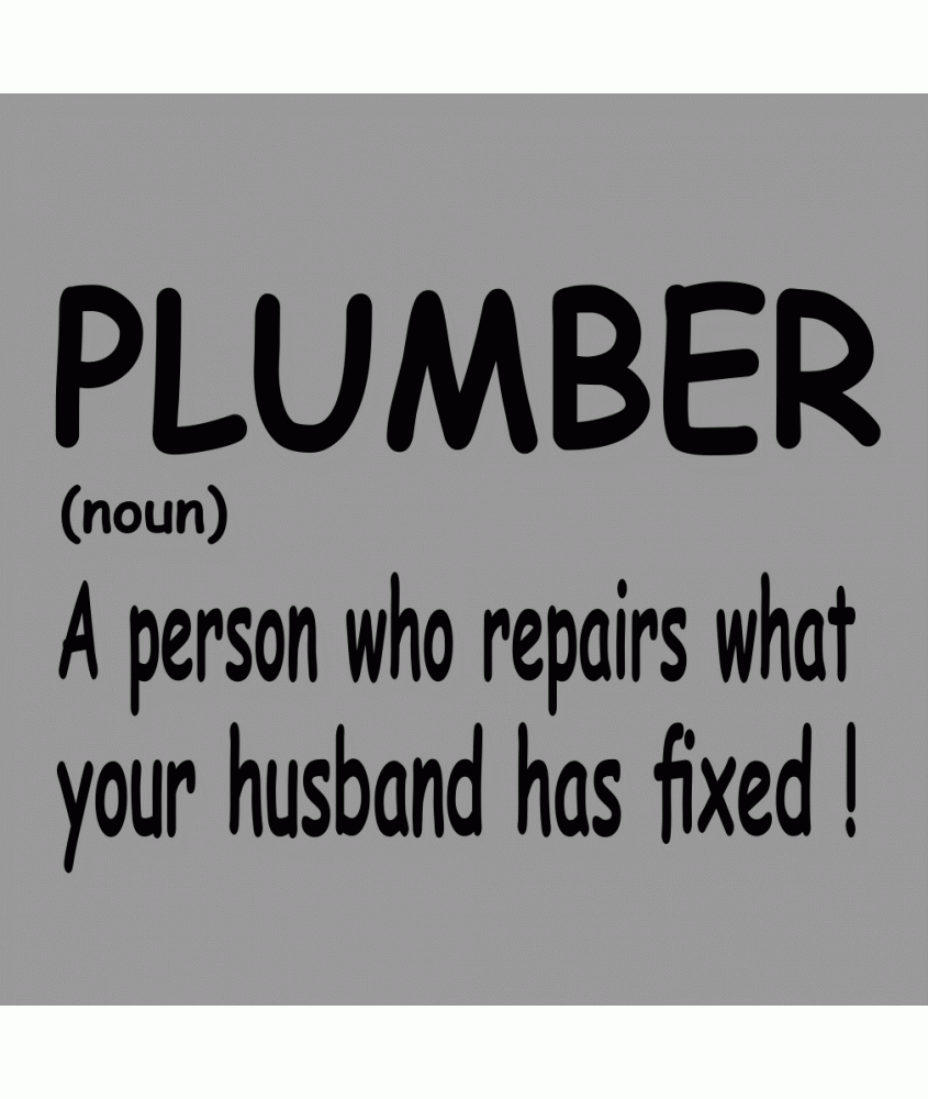 Plumber A Person who Repairs What Your Husband Has Fixed Funny Definition Picture