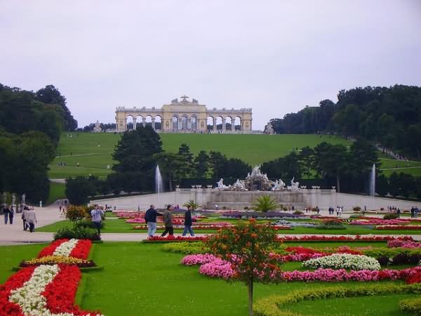 Privy Garden And Gloriette At the Schonbrunn Palace