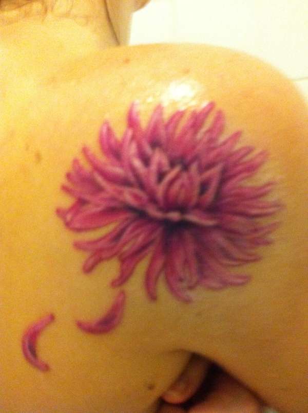 Purple Ink Dahlia Flower Tattoo On Right Back Shoulder