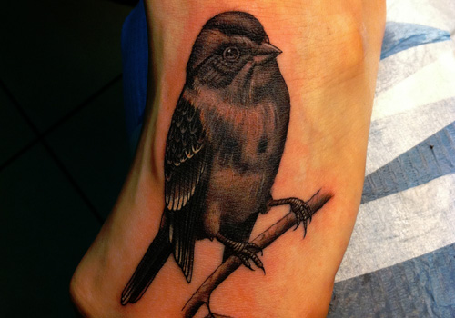 Realistic Sparrow Tattoo On Left Foot