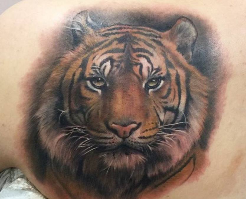 Realistic Tiger Head Tattoo On Back Shoulder