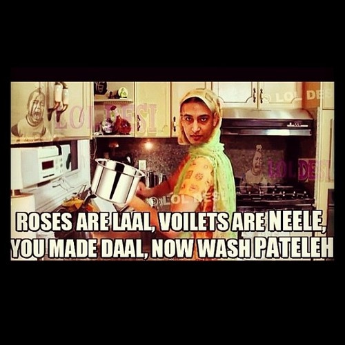 Roses Are Laal Voilets Are Neele You Made Daal Now Wash Pateleh Funny Punjabi Meme Image