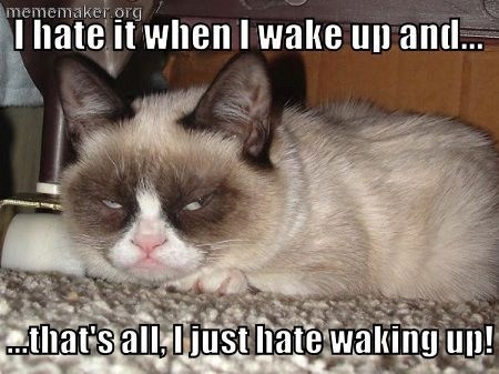 Sad Face Funny Grumpy Cat Image