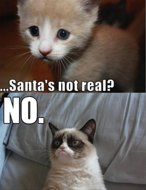 Santa's Not Real No Funny Grumpy Cat Image