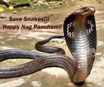 Save Snakes Happy Nag Panchami