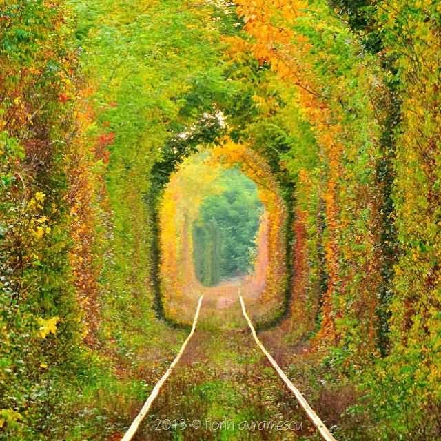 Seasons Colors At The Tunnel Of Love In Ukraine